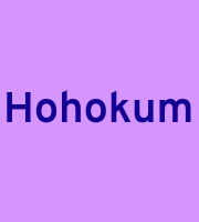 Hohokum
